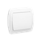 Interrupteur unipolaire blanc 10A 250V