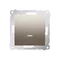Interruptor bipolar con retroiluminación LED (módulo) 10A, 250V, conectores rápidos, dorado (metálico)