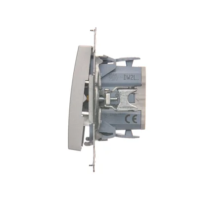 Interruptor bipolar con retroiluminación LED (módulo) 10A, 250V, conectores rápidos, plateado (metálico)