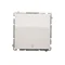 Interruptor bipolar (módulo), 10 A, 250 V, terminales de tornillo, blanco