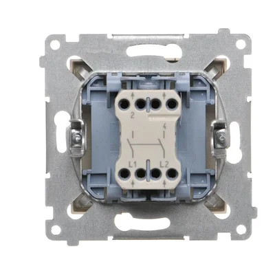 Interruptor bipolar (módulo) 10A, 250V, conectores rápidos, dorado (metálico)