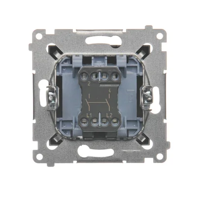 Interruptor bipolar (módulo) 16A, 250V, terminales de tornillo, antracita (metálico)