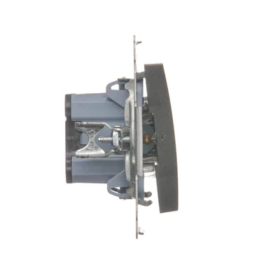 Interruptor bipolar (módulo) 16A, 250V, terminales de tornillo, antracita (metálico)