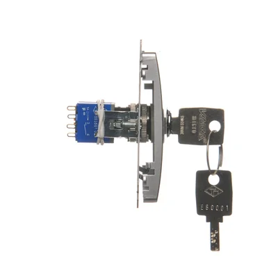 Interruptor de llave ciega, 3 posiciones, 5A 230V, plata metalizada mate