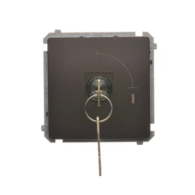 Interruptor de llave unipolar, 2 posiciones, 5A 230V, chocolate metalizado mate