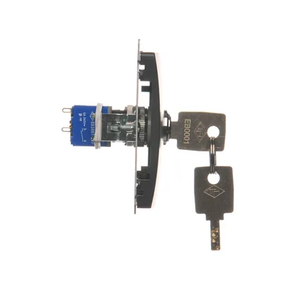 Interruptor de llave unipolar, 2 posiciones, 5A 230V, grafito metalizado mate