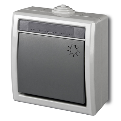 Interruptor de luz de superficie, gris, IP55, Aquant