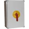 INTERRUPTOR DE SEPARACIÓN DE 6 POLOS 125A EN CARCASA DE ABS CON MANIJA Z/C