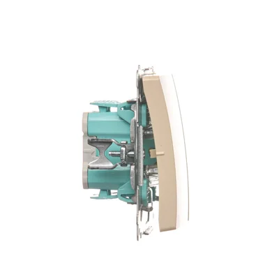 Interruptor de vela (módulo) 10A 250V, terminales de tornillo beige