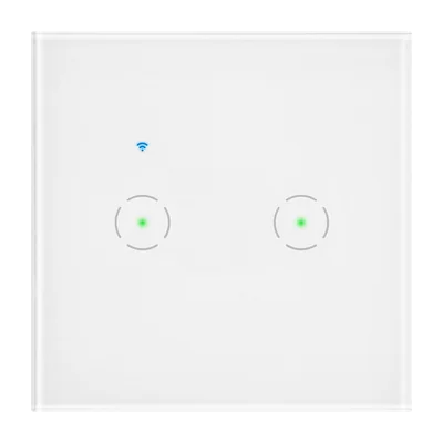 Interruptor doble empotrable Wi-Fi Tuya Smart Home, blanco