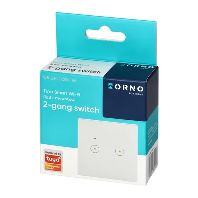 Interruptor doble empotrable Wi-Fi Tuya Smart Home, blanco