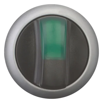 Interruptor luminoso, 3 posiciones, con resorte, verde, M22-WLK3-G