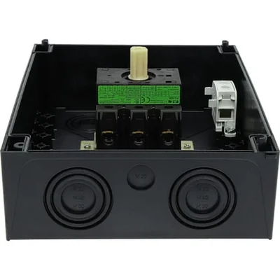 Interruptor principal, 100 A, P3-100/I5