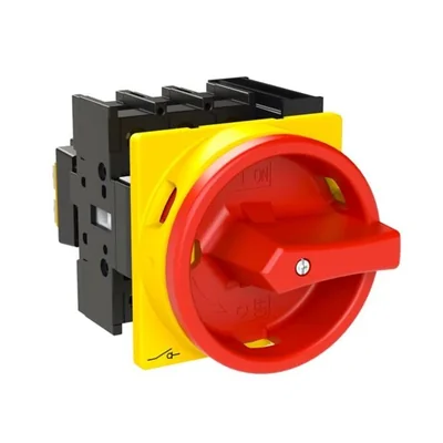 Interruptor principal, 25 A, P1-25/EA/SVB/HI11