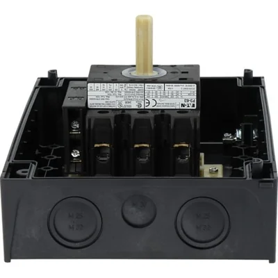 Interruptor principal, 63A, P3-63/I4/SVB-SW/HI11