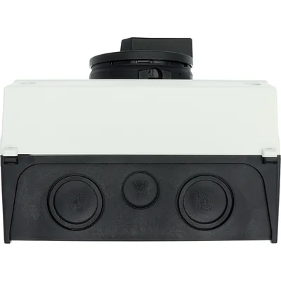 Interruptor principal, 63A, P3-63/I4/SVB-SW/HI11