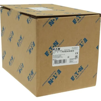 Interruptor principal, 63A, P3-63/I4/SVB/N