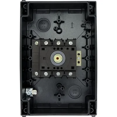 Interruptor principal, 63A, P3-63/I4/SVB/N