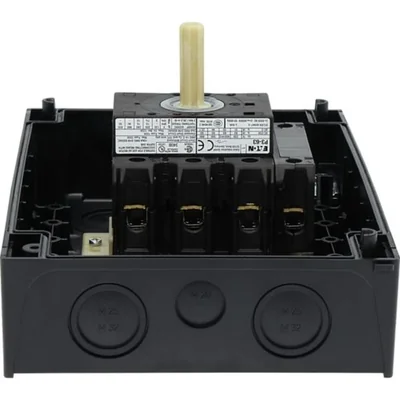 Interruptor principal, 63A, P3-63/I4/SVB/N