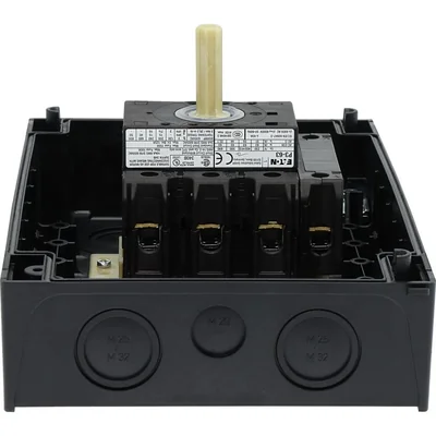 Interruptor principal, 63A, P3-63/I4/SVB/N