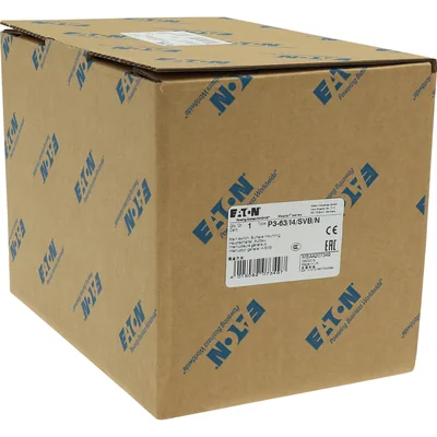 Interruptor principal, 63A, P3-63/I4/SVB/N