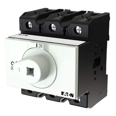 Interruptor principal P3-100/XM, 3 polos, 100 A, sin eje ni manija, montaje desmontable