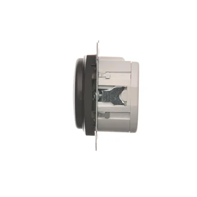 Interruptor teledirigido con relé (módulo) 8(2) A, 230V, marrón mate metálico