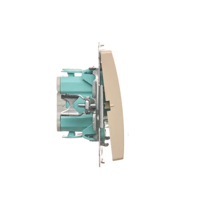 Interruptor unipolar con retroiluminación (módulo) 10A 250V beige