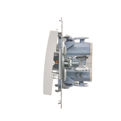 Interruptor unipolar (módulo) 10A, 250V, conectores rápidos, blanco