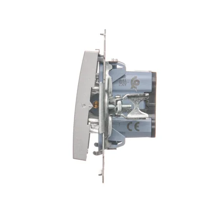 Interruptor unipolar (módulo) 16A 250V terminales de tornillo plateado (metálico)