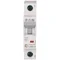 Interruttore automatico HN-B40/1 6kA, In=40A, caratteristica B, monopolare. Serie HN