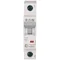 Interruttore automatico HN-B50/1 6kA, In=50A, caratteristica B, monopolare. Serie HN