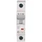 Interruttore automatico HN-C32/1 32A 1P 6kA C 230V IP20 tipo AC