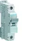 Interruttore automatico MCB 10kA 1 polo 40A Caratteristica B