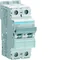 Interruttore automatico MCB 10kA 2 poli 50A Caratteristica B