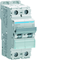 Interruttore automatico MCB 10kA, 2P, tipo B, 40A