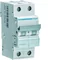 Interruttore automatico MCB 6kA bipolare 13A B caratteristica