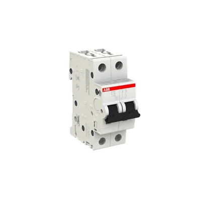 Interruttore automatico S202-C10 | 2P | Carattere C | 10A | 6kA | CA |