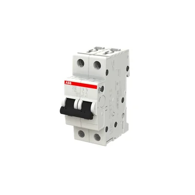 Interruttore automatico S202-C40 | 2P | Carattere C | 40A | 6kA | CA |