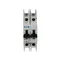 Interruttore automatico tipo D, bipolare, 63 A, D-Char FAZ-D63/2