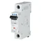 Interruttore di sovracorrente PL6-C10/1 6kA, In=10A, caratteristica C, monopolare, serie PL6