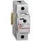 Interruttore fusibile R 311 25 A 1P+N, non sezionabile