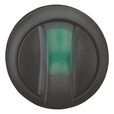 Interruttore illuminato M22S-WRLK-G a 2 posizioni, no