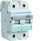 Interruttore magnetotermico 15kA 2P B 125A