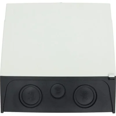 Interruttore principale, 100 A, P3-100/I5