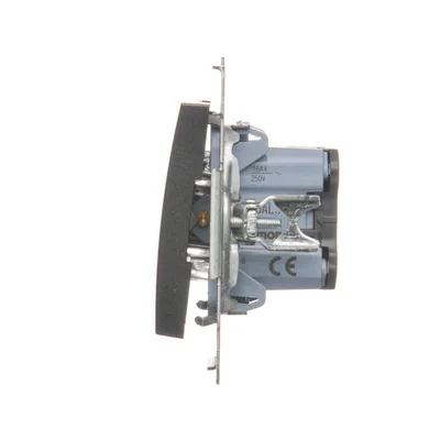 Interruttore scale con retroilluminazione LED (modulo) 230V, antracite metallizzato