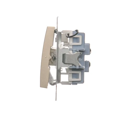 Interruttore scale doppio con retroilluminazione (modulo) 10A 250V morsetti a vite oro (metallico)