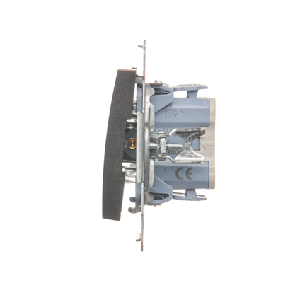 Interruttore unipolare con retroilluminazione LED (modulo) 10A 250V connettori rapidi antracite (metallizzato)