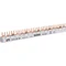 IZ10/3F/54 Insulated busbar
