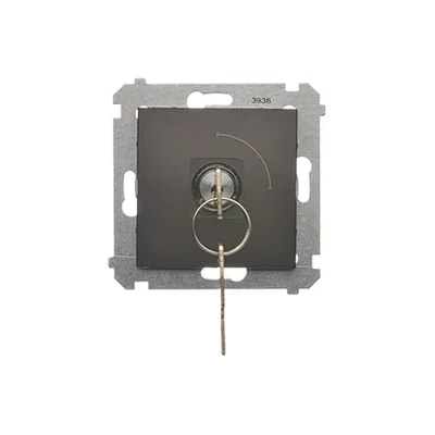 Jednopólový klíčový spínač (modul), 2polohový N/O kontakt, 5 A, 250, matná bronzová metalíza